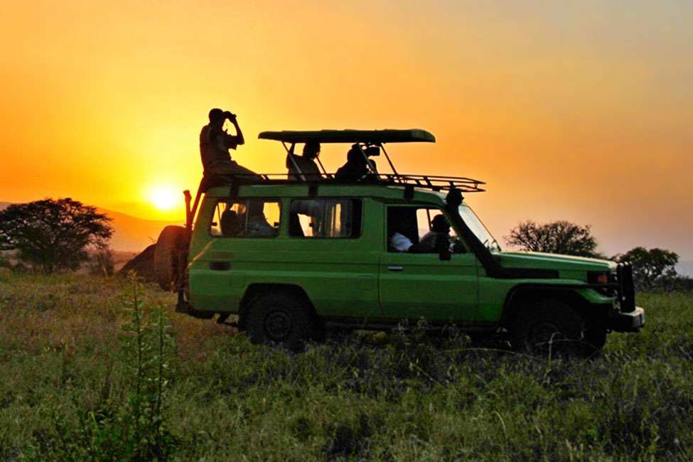 Safari Cars To Hire For Next Uganda Safari