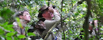How To Get To Kibale National Park - Cheap Chimpanzee Trekking In Uganda