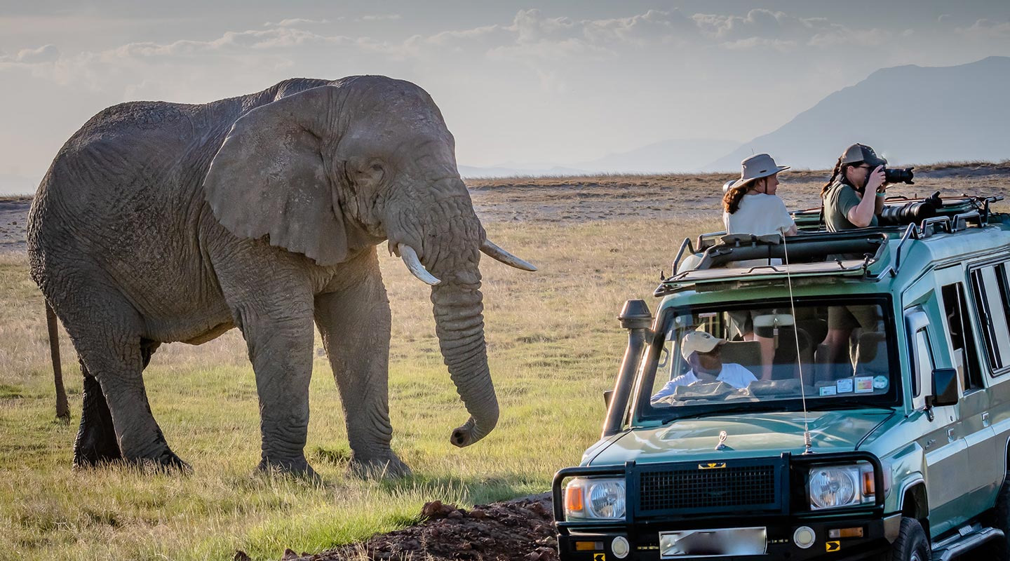 Explore Uganda - Uganda Safaris