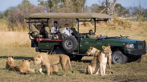 Exploring Uganda's Wildlife And Nature - A Safari Paradise