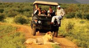 Rent a Car for Murchison Falls Safari