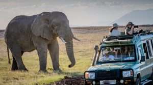 Uganda Driving Tips for Tourists