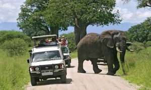 How To Rent a Car In Uganda