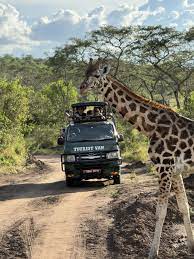 Cheap Self Drive Car Hire In Kampala