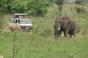 Uganda Safari Vehicle Hire