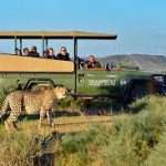Safari Car Rental for Murchison Falls National Park