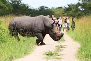 Ziwa Rhino Sanctuary and Wildlife Ranch, Uganda